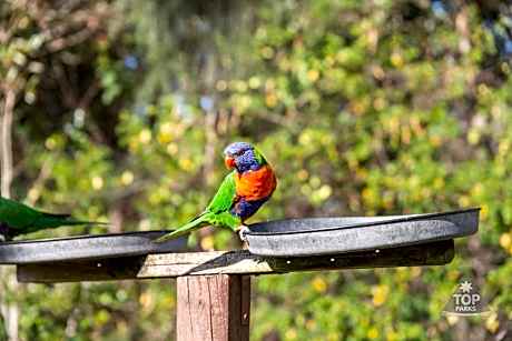 Lorikeet Holiday Park