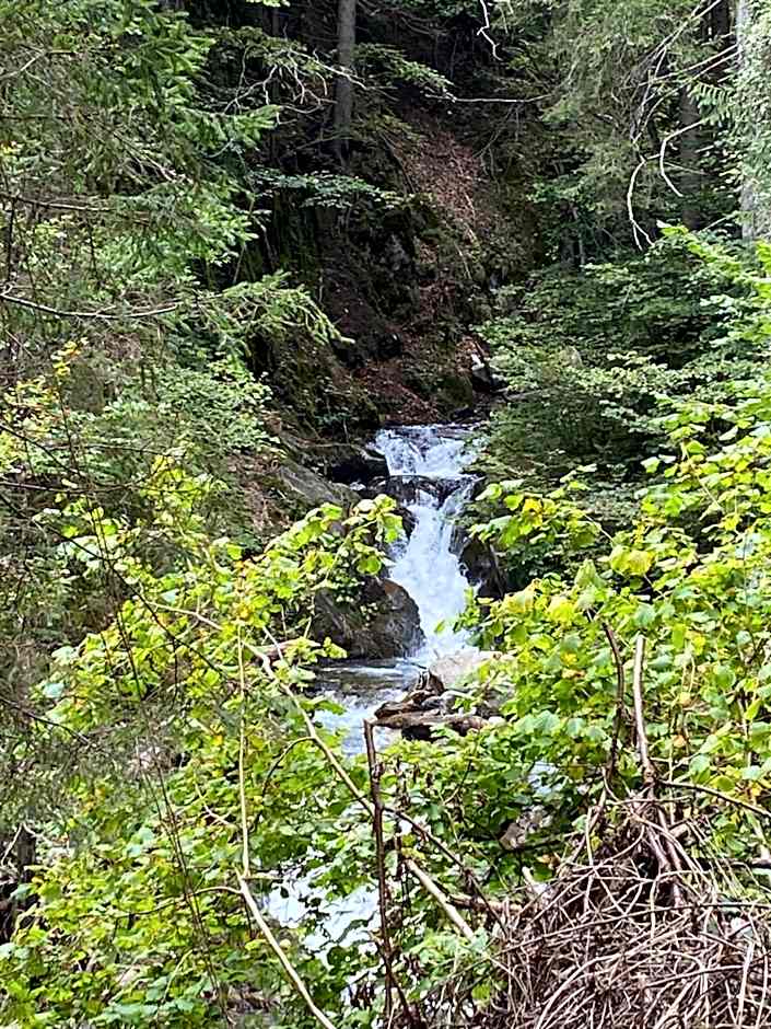 Molltaler Appartements en b&b