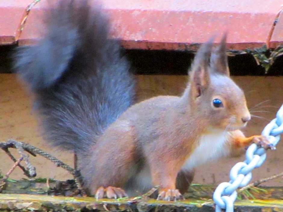 Chambres d'hôtes La Gargaille