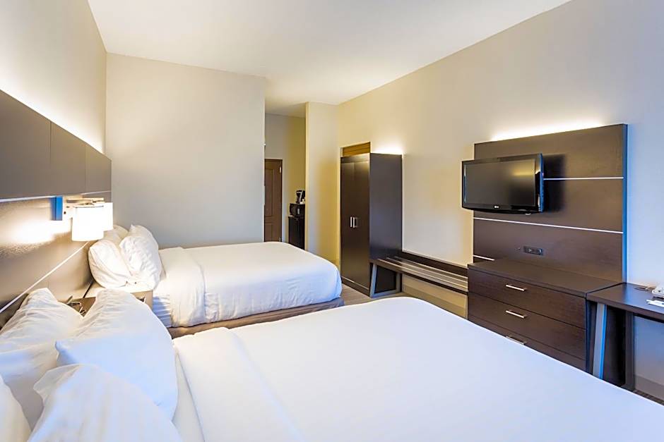Holiday Inn Express Hotel & Suites Reading By IHG