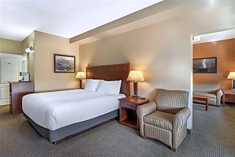 Executive King Suite with Sofa Bed - Non-Smoking