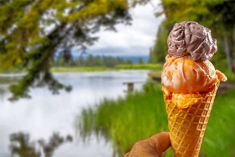 SpringHill Suites by Marriott Island Park Yellowstone