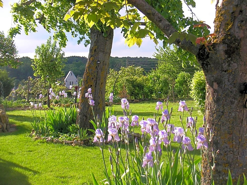 Chambres d'Hôtes La Vallée des Vignes