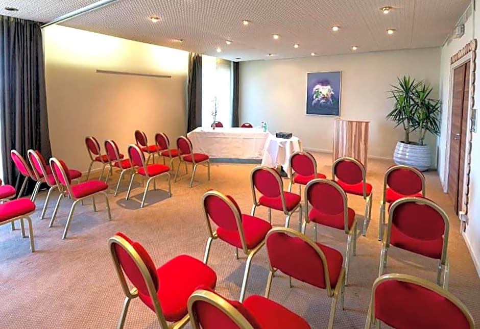 Kyriad Prestige Mulhouse - Basel