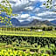 Lily Pond House at Le Lude