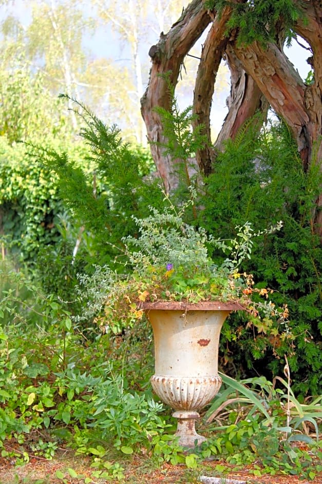 Le Chemin du Village