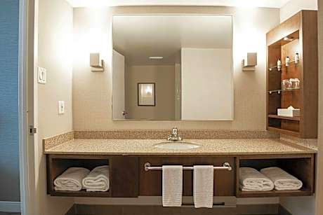 Suite, 1 King, Sofa bed, Fireplace