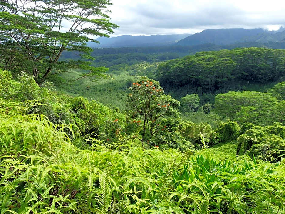 Kiahuna Plantation 96, Poipu Beach, Club Membership, Part Ocean View, Kids Toys