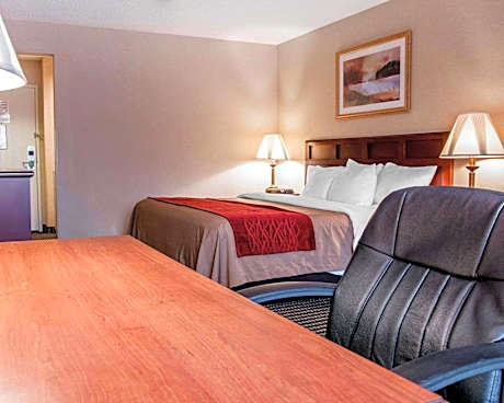 1 King Bed Nonsmoking Accessible