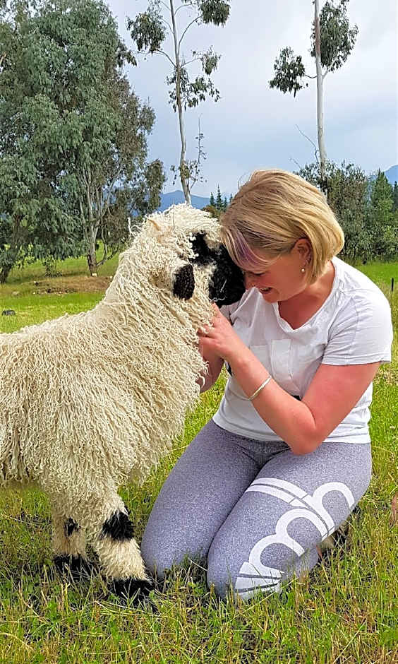 Maple Lodge Luxury Bed And Breakfast