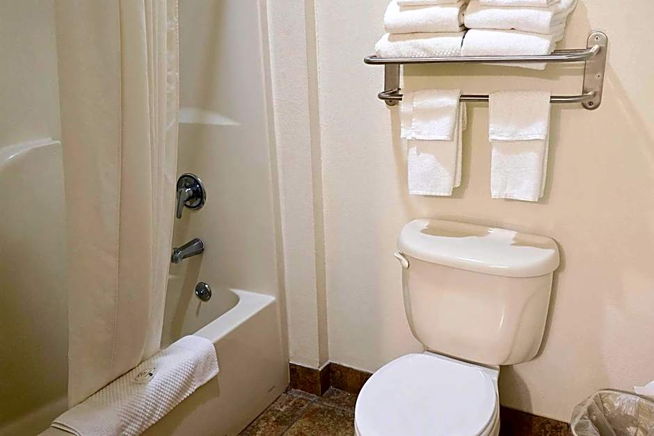 Quality Inn Durand I-69