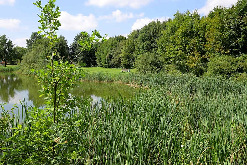 Hotel Brandenburger Hof