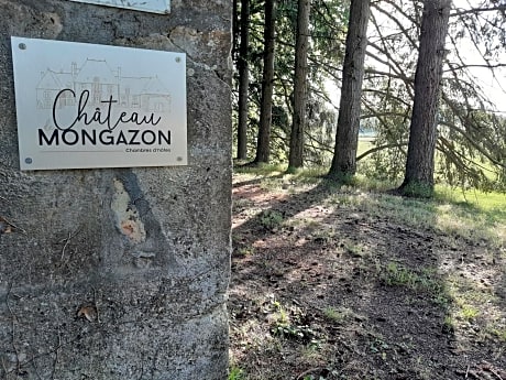 Château de Mongazon