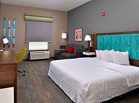 1 King Mobility Access Ri Shwr Studio Nosmok Sofabed/microwv/fridge/hdtv/work Area Free Wi-fi/hot Br