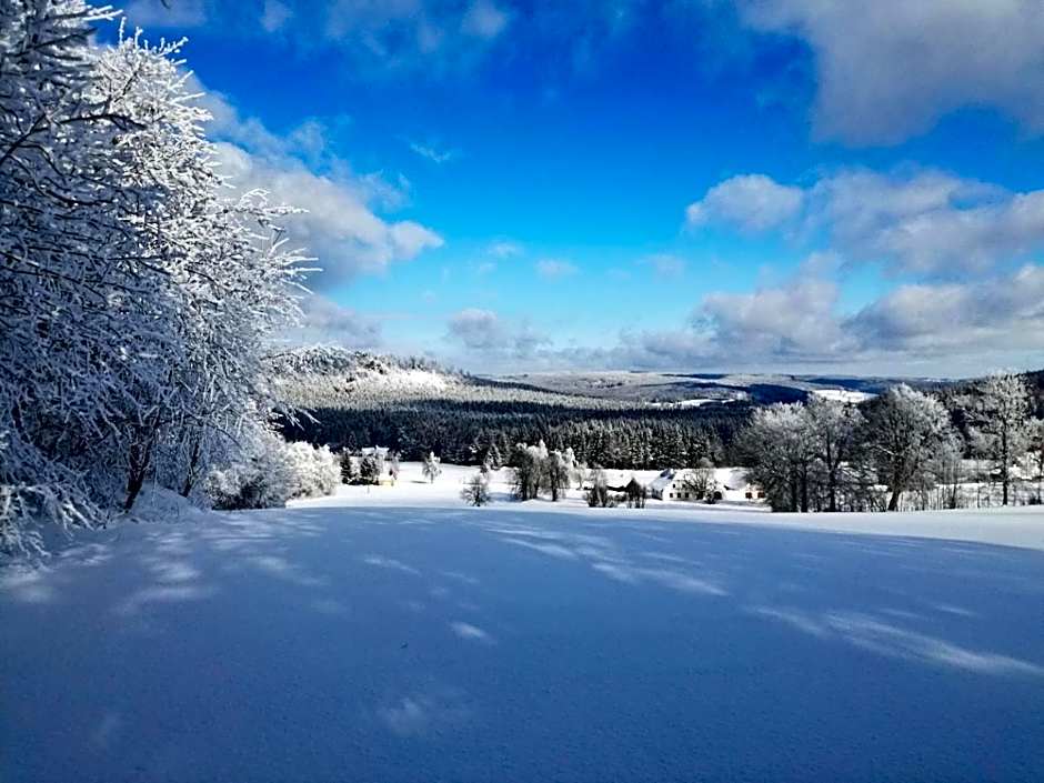 Penzion Pod Dratnikem