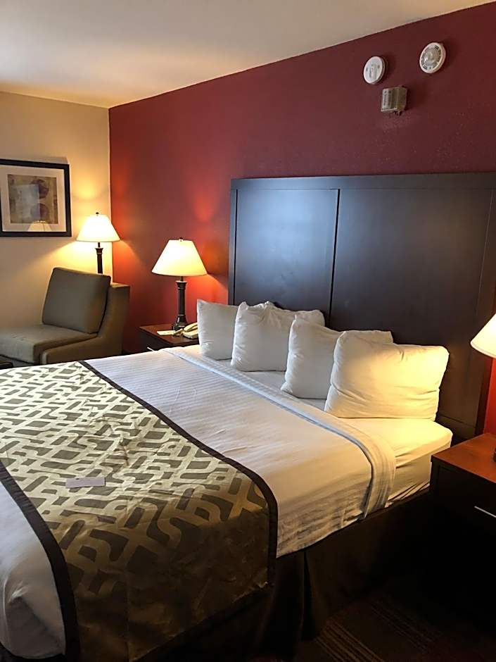 Best Western Dallas Inn And Suites