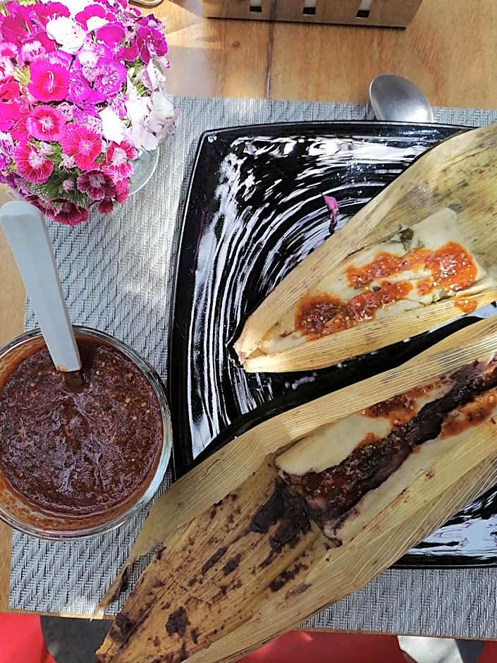 Nardazul "Casa de Sueños"