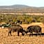 Mabula Game Lodge