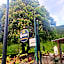 Landgasthof zum Scheiber