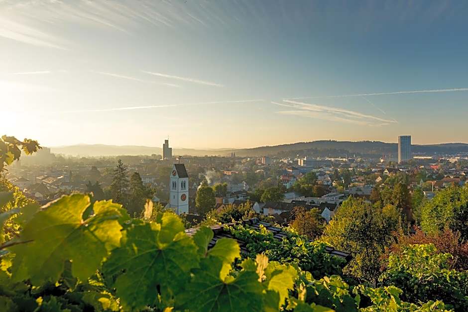 ibis budget Winterthur