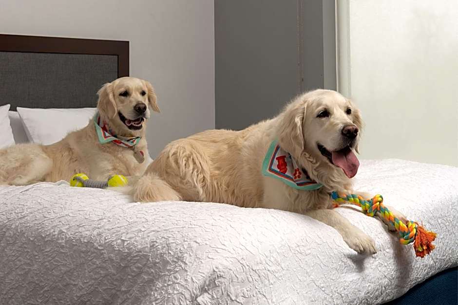 Hampton Inn By Hilton & Suites Rapid City Rushmore, SD