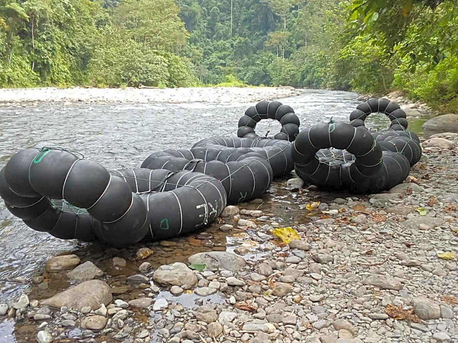 Jungle treking & Jungle Tour if you want to stay here,you must book treking only with us