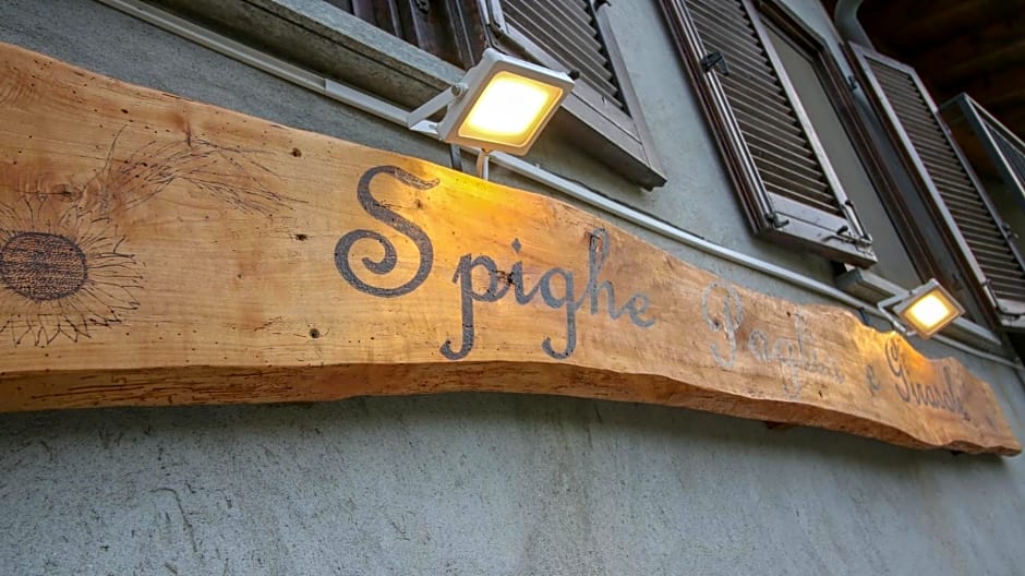 Spighe Paglia e Girasole