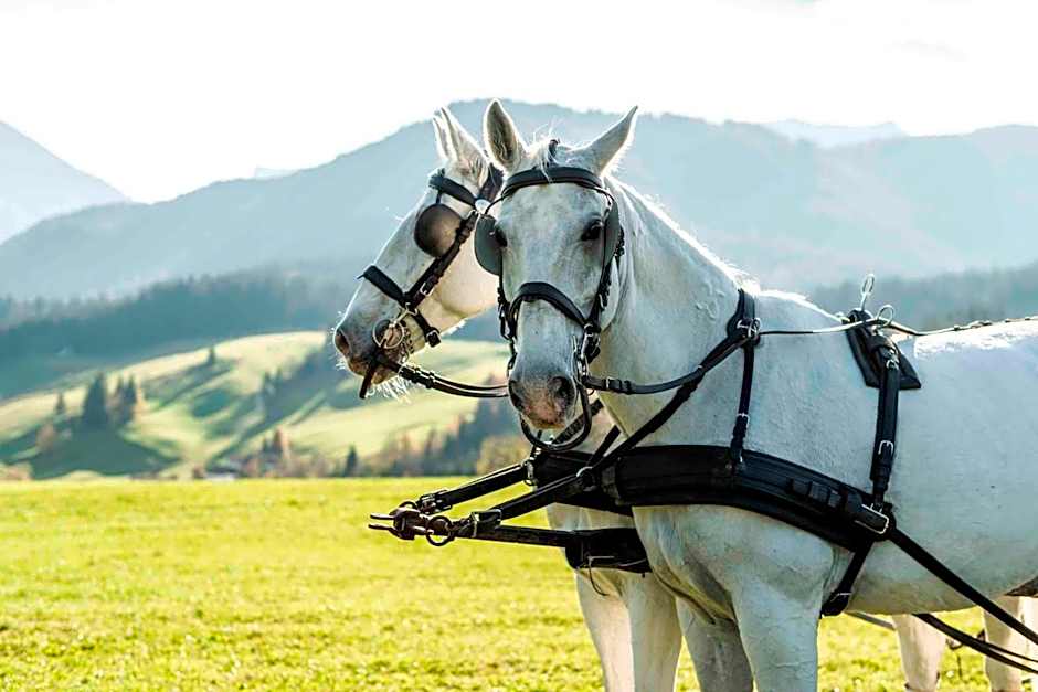 Posthotel Achenkirch Resort and Spa - Adults Only