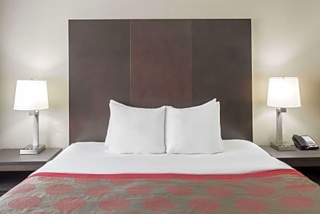 1 King Bed Accessible Room Non-Smoking.