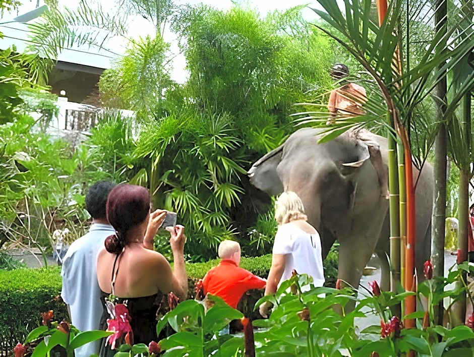 Jungle Village Bungalows