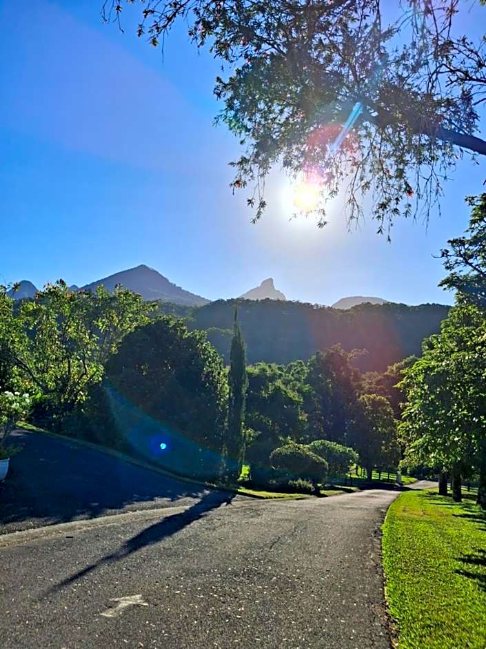 A view of Mount Warning