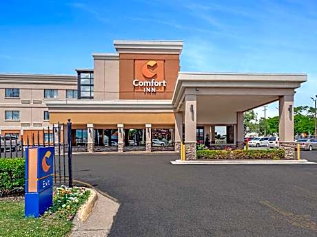 Comfort Inn Detroit Downtown