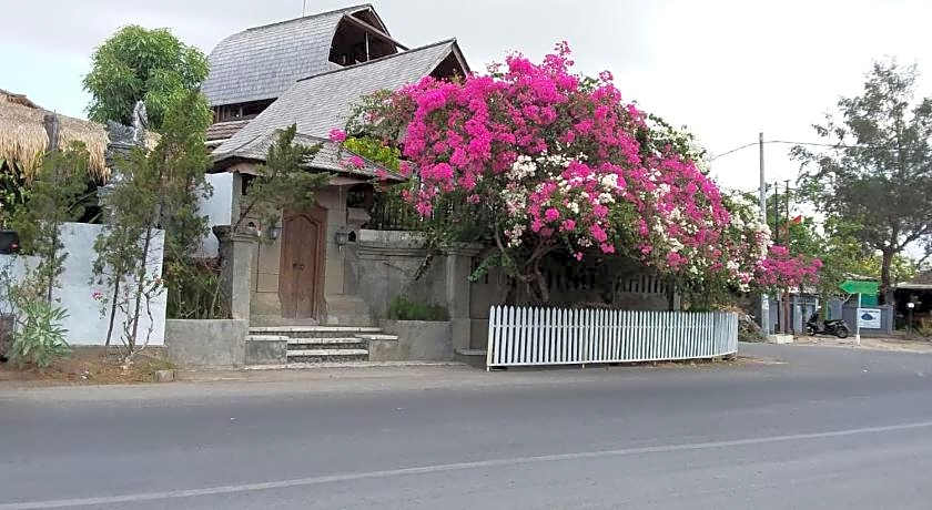 The Dream Home Wooden Classic Villa