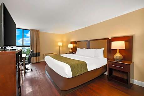 Standard King Room with City View - Non-Smoking