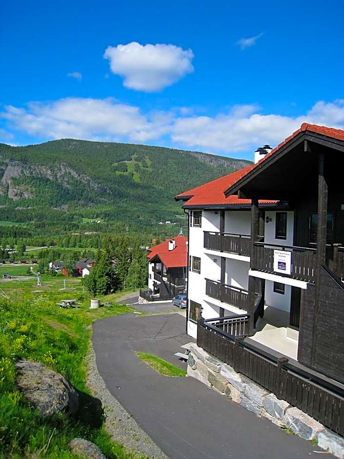 Alpin Apartments Solsiden