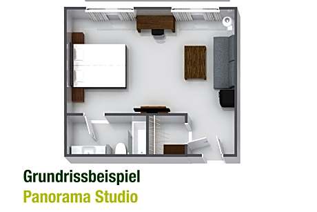 Panorama Studio with Forest View