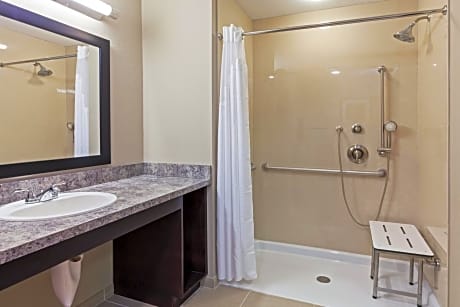 King Room - Disability/Hearing Accessible with Roll In Shower