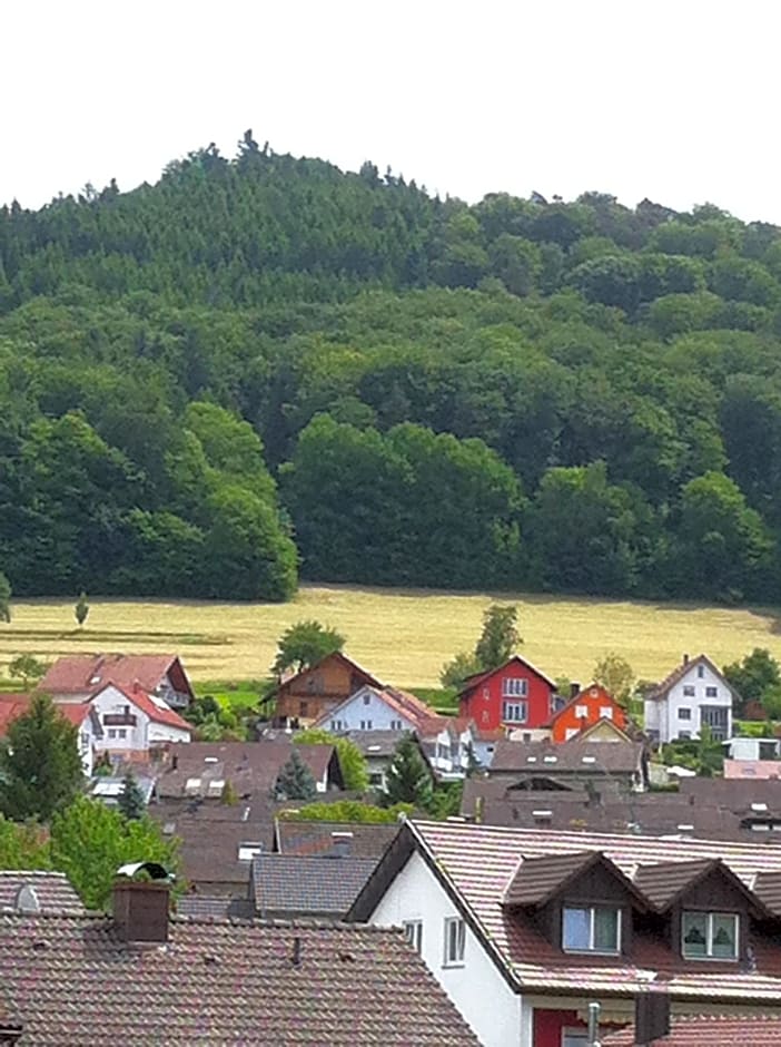 Hotel Garni Schmieder’s Ochsen