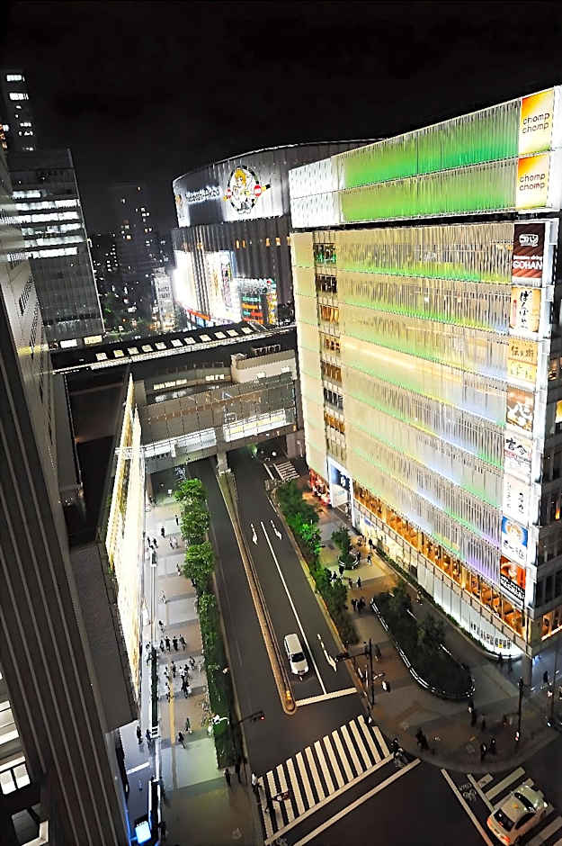 Akihabara Washington Hotel
