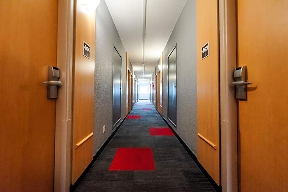 Ibis Blumenau