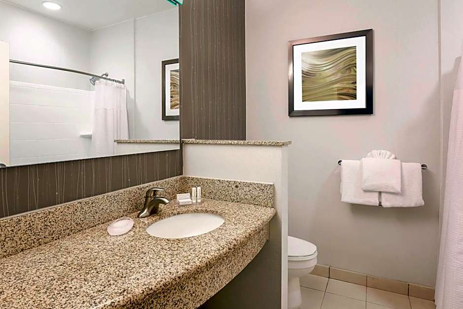 Courtyard by Marriott Dallas Arlington South