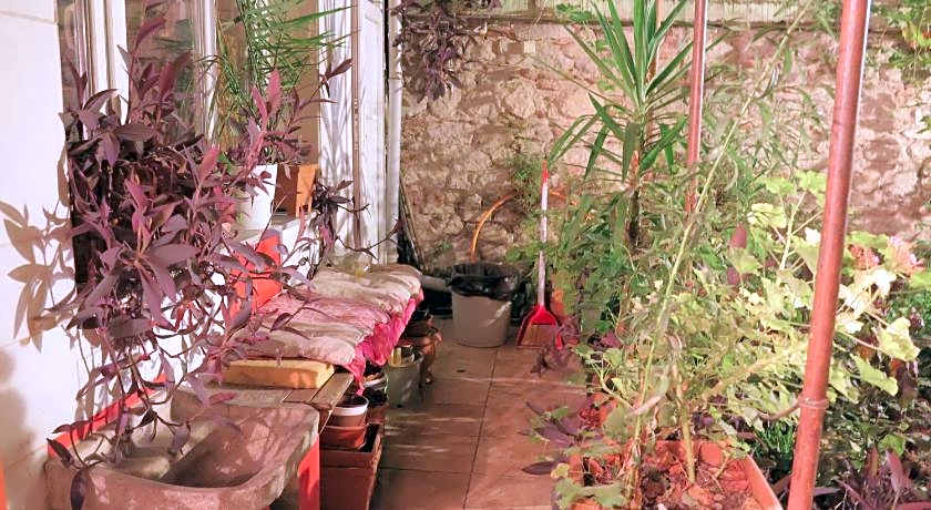 LOTUS GARDEN HOSTEL