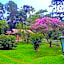 Pousada Bosque do Visconde