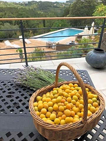 Idyllic French farmhouse