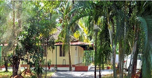 Palmgrove service villa