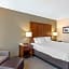 Comfort Inn & Suites Dover