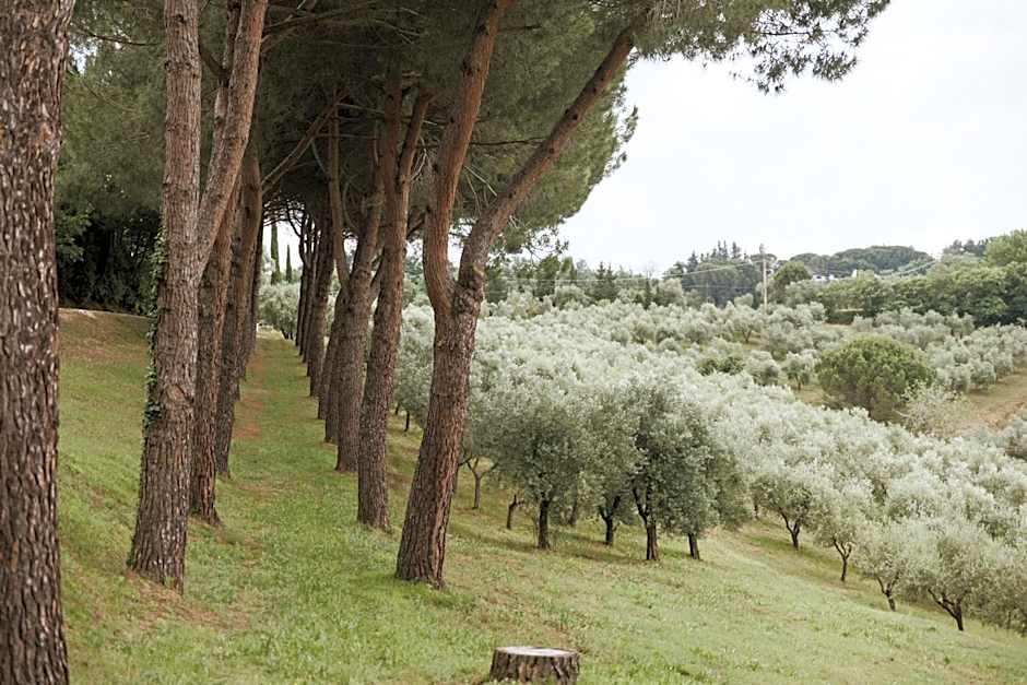 Villa Delia Hotel and Cooking School