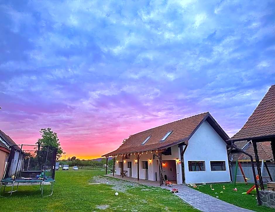 Casa de Lemn Arpasu de jos