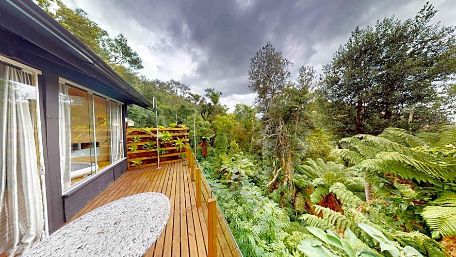 Cisne Negro Villarejo