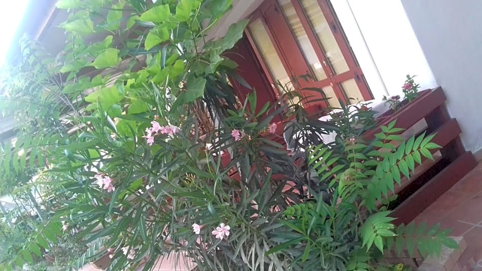 A Casa Di Nene – Palinuro, UT